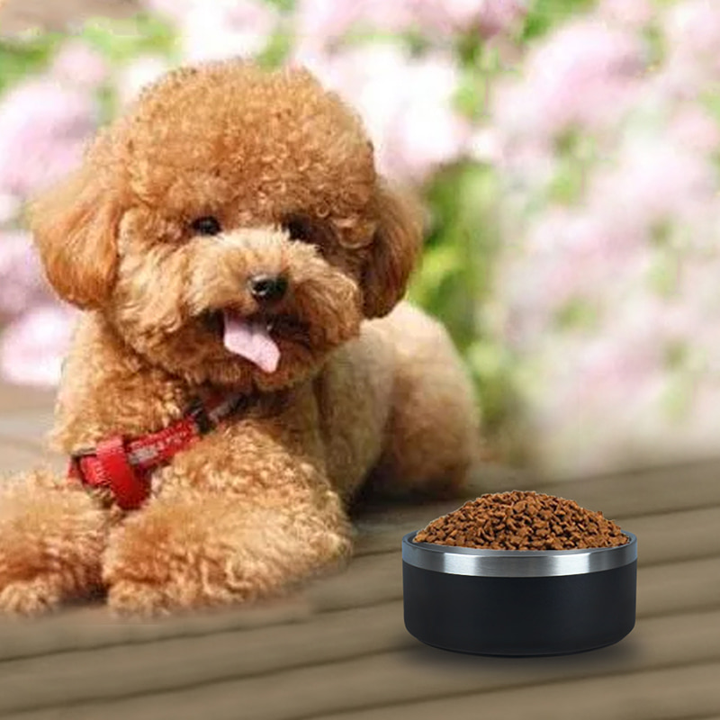 Simple Style Insulated Pet Bowl