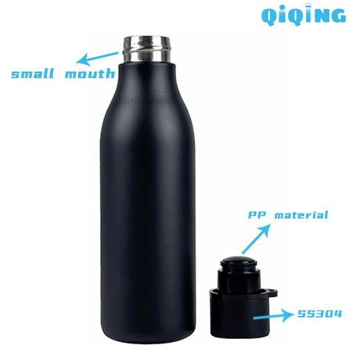 new style sports bottle with handle